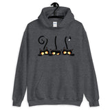 premium Hoodie by rocky apparels