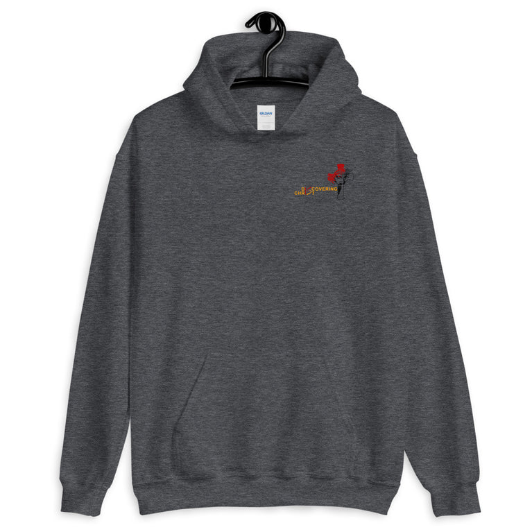 Discovering Christ Unique Design Hoodie.