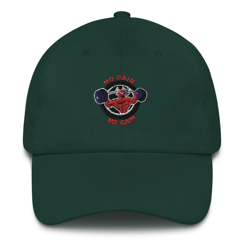 no pain no gain Dad hat by rocky apparels