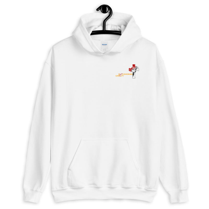 Discovering Christ Unique Design Hoodie.